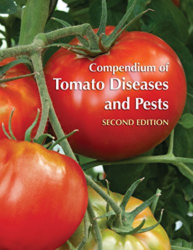 tomato thesis pdf